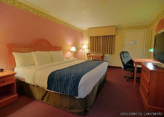Comfort & Hotel Quakertown