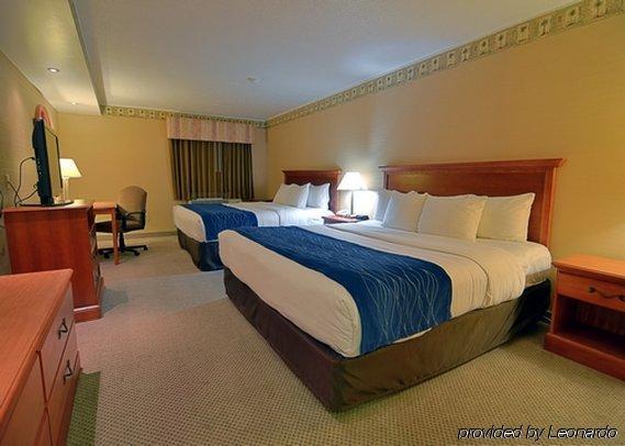 Comfort & 2* Quakertown