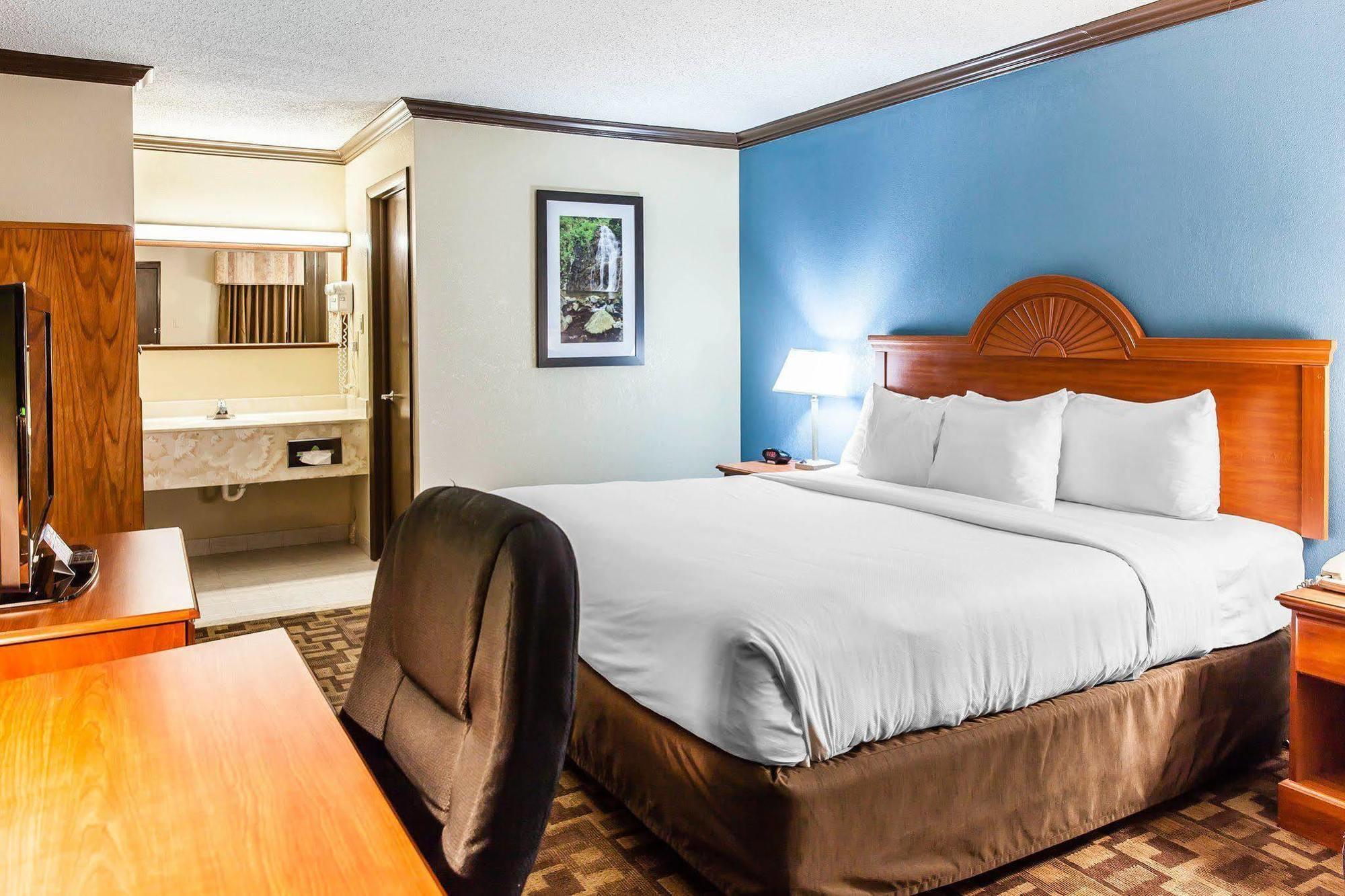 Comfort & Hotel